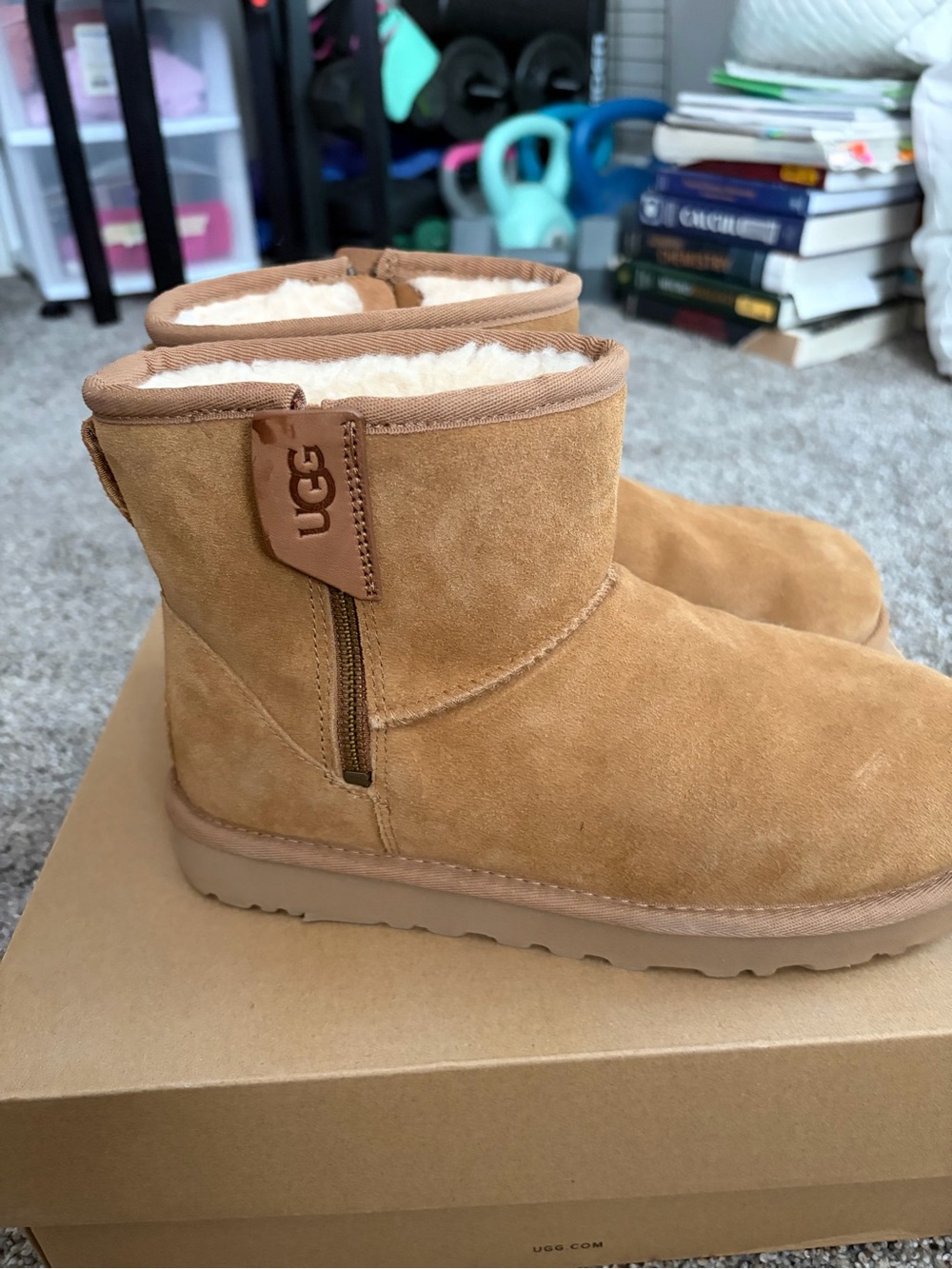 UGG Short Zip Boot in Chestnut Brown - Picture 4 of 6